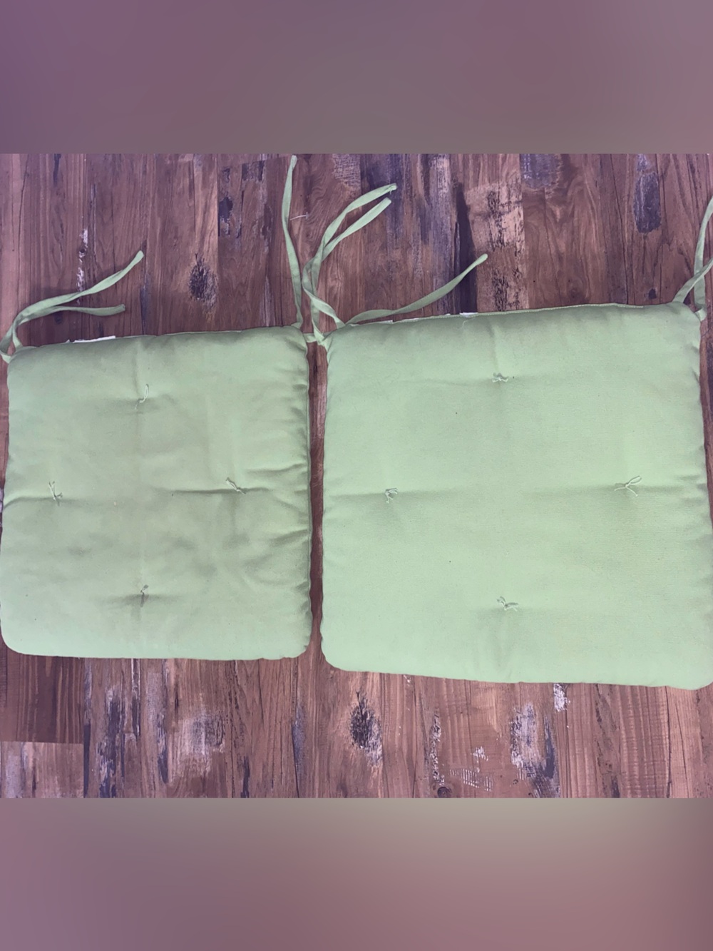 Pottery Barn Light Green Tie-On Seat Cushions - Set of 2